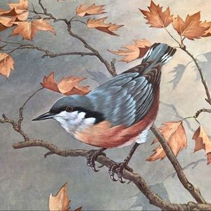 Mid Size Print - Nuthatch Bird & Autumn Leaves